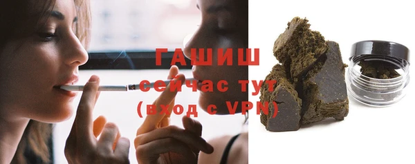 СК Алексин
