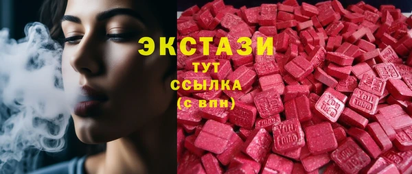 СК Алексин
