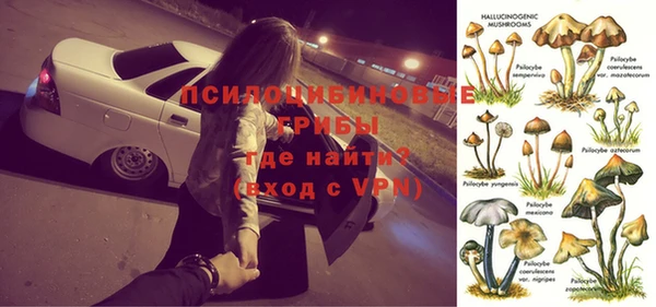 СК Алексин